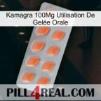 Kamagra 100Mg Utilisation De Gelée Orale 26